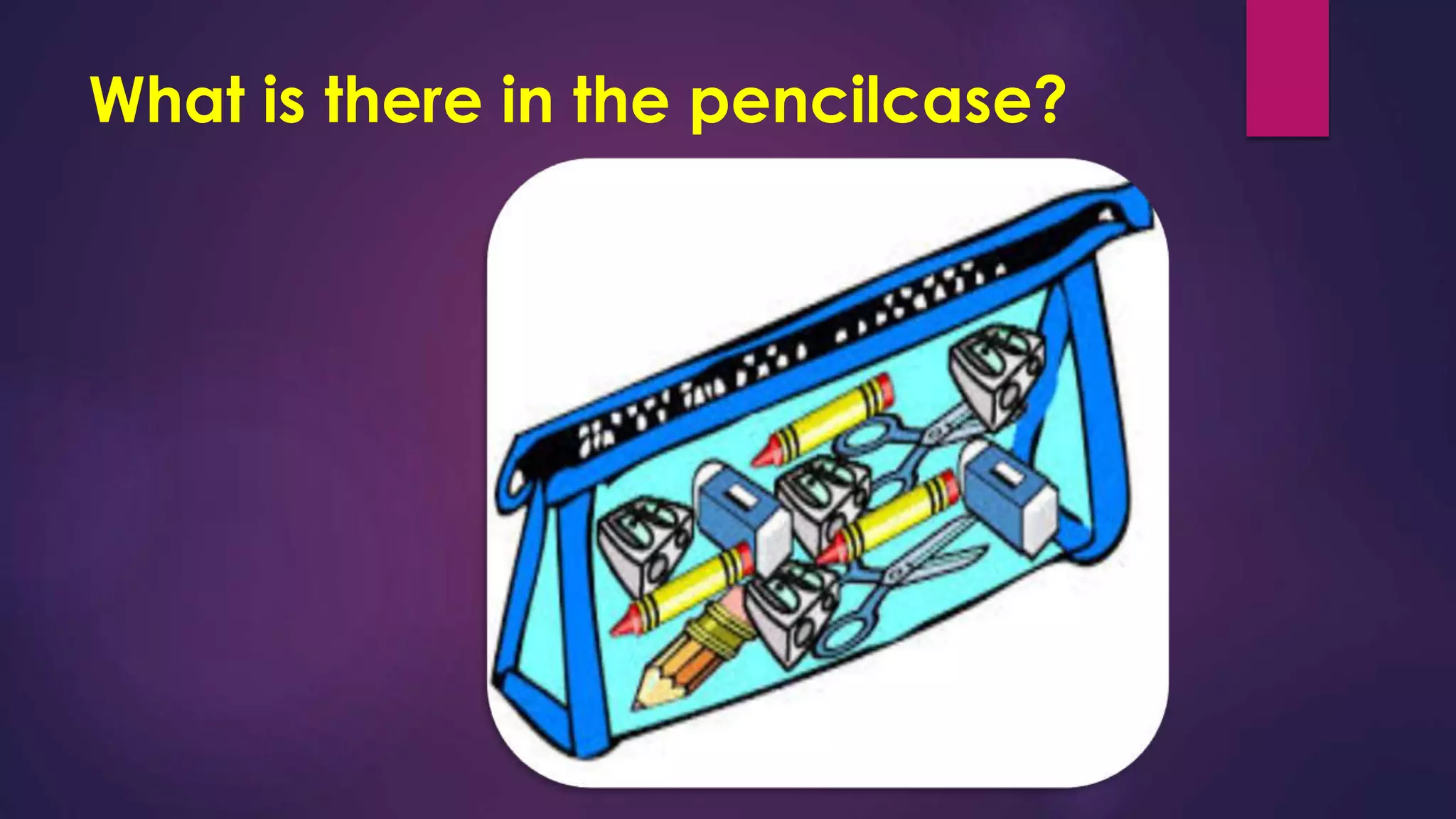 What is there in the pencilcase?