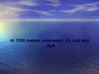 At 1000 metres underwater, it’s cold andAt 1000 metres underwater, it’s cold and
dark.dark.
 