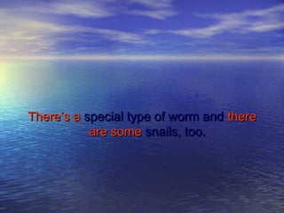 There’s aThere’s a special type of worm andspecial type of worm and therethere
are someare some snails, too.snails, too.
 