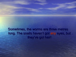 Sometimes, the worms are three metresSometimes, the worms are three metres
long. The snails haven’t gotlong. The snails haven’t got anyany eyes, buteyes, but
they’ve got hair!they’ve got hair!
 