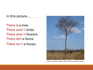 In this picture...
There is a tree.
There aren´t birds.
There aren´t flowers.
There isn’t a fence.
There isn´t a house.
Imagem: Fernando Tatagiba / GNU Free Documentation License.
 