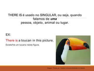 THERE IS é usado no SINGULAR, ou seja, quando
falamos de uma
pessoa, objeto, animal ou lugar.
EX:
There is a toucan in this picture.
Existe/há um tucano nesta figura.
Imagem: Thowra_uk / Creative Commons Attribution 2.0 Generic.
 