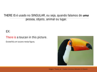 THERE IS é usado no SINGULAR, ou seja, quando falamos de uma
pessoa, objeto, animal ou lugar.
EX:
There is a toucan in this picture.
Existe/há um tucano nesta figura.
Imagem: Thowra_uk / Creative Commons Attribution 2.0 Generic.
 