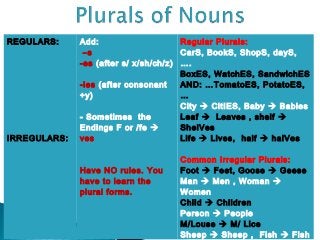 REGULARS:     Add:                     Regular Plurals:
               –s                      CarS, BookS, ShopS, dayS,
              -es (after s/ x/sh/ch/z) ….
                                       BoxES, WatchES, SandwichES
              -ies (after consonant    AND: …TomatoES, PotatoES,
              +y)                      …
                                       City  CitIES, Baby  Babies
              - Sometimes the          Leaf  Leaves , shelf 
              Endings F or /fe        ShelVes
IRREGULARS:   ves                      Life  Lives, half  halVes

                                     Common Irregular Plurals:
              Have NO rules. You     Foot  Feet, Goose  Geese
              have to learn the      Man  Men , Woman 
              plural forms.          Women
                                     Child  Children
                                     Person  People
                                     M/Louse  M/ Lice
                                     Sheep  Sheep , Fish  Fish
 