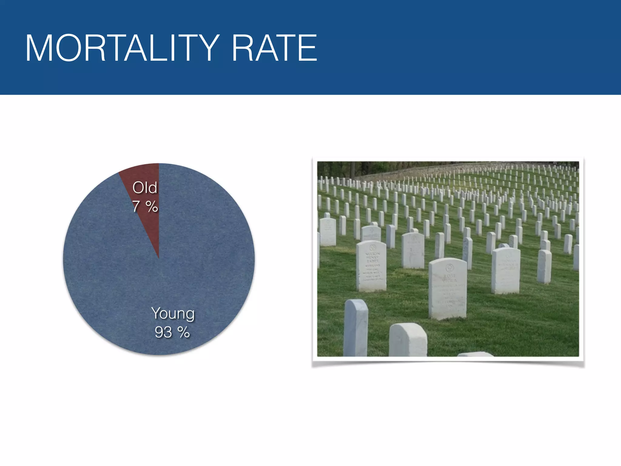 Old 7 % Young 93 % MORTALITY RATE 