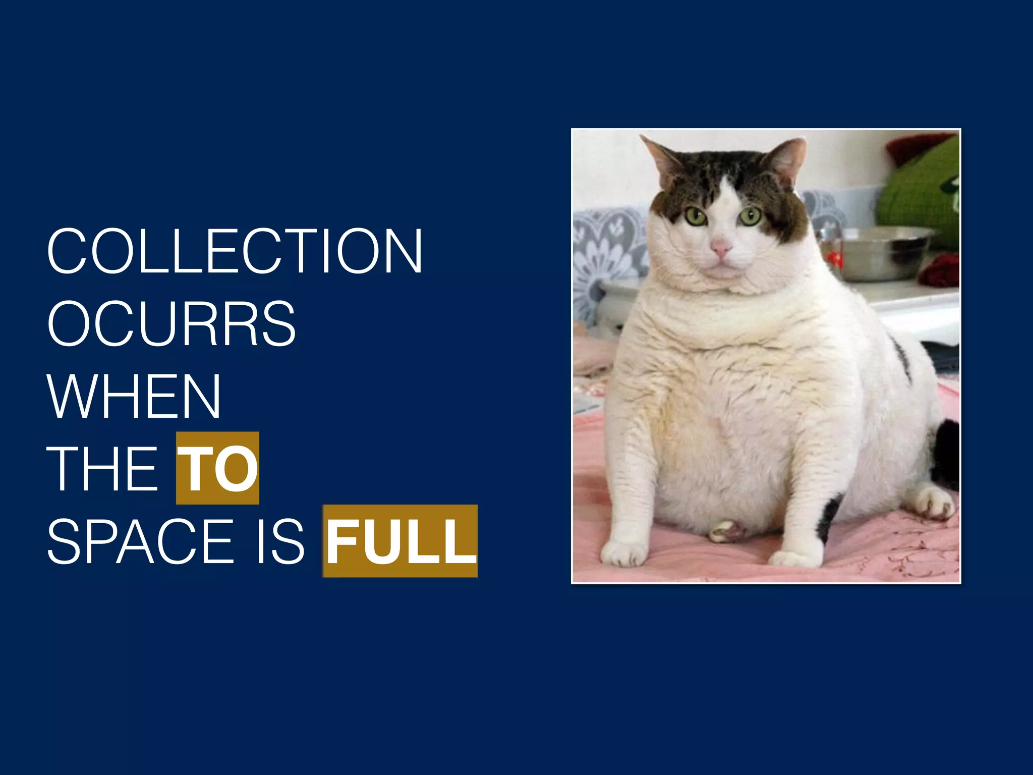 COLLECTION OCURRS WHEN THE TO SPACE IS FULL 