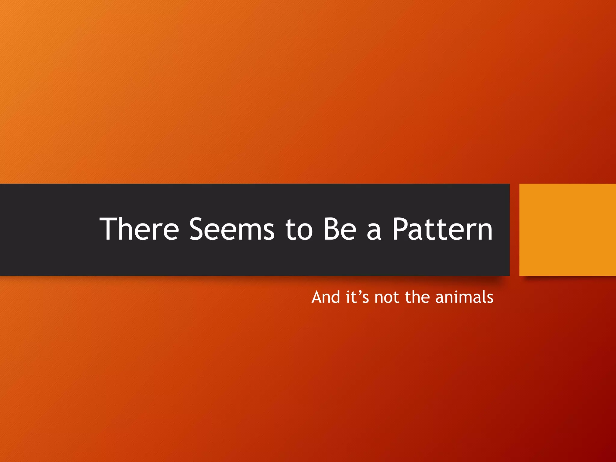 There Seems to Be a Pattern And it’s not the animals 