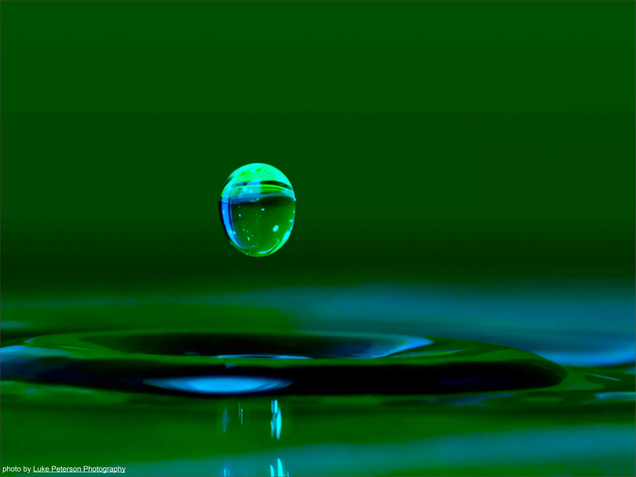 photo by Luke Peterson Photography
 