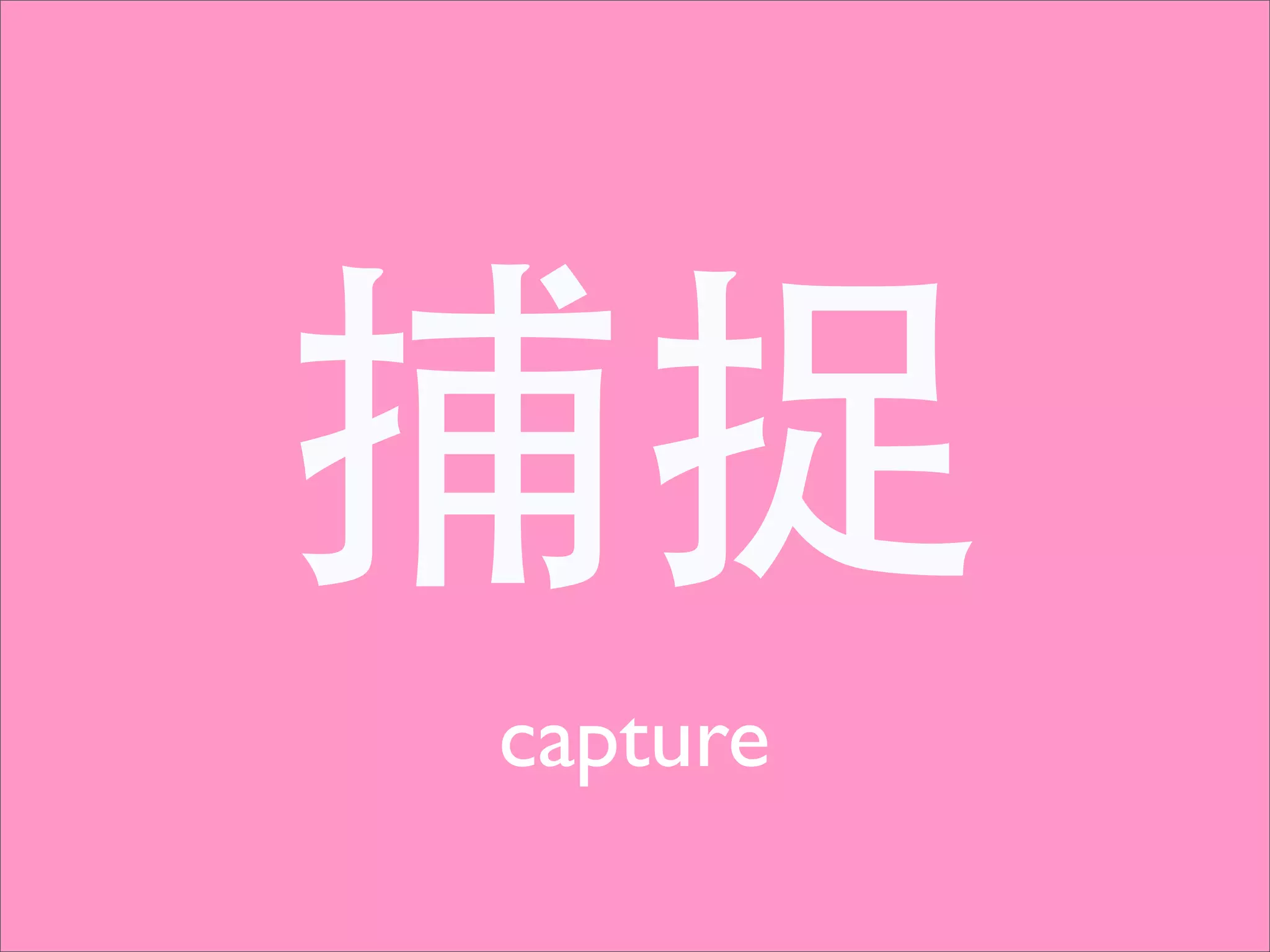 捕捉
capture
 