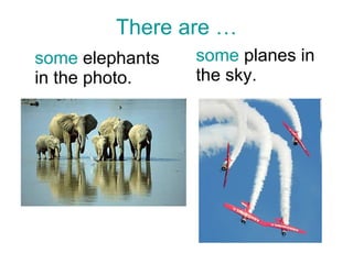 There are … some  elephants in the photo.  some  planes in the sky. 