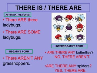 There is there are affirmative negative interrogative | PPTX