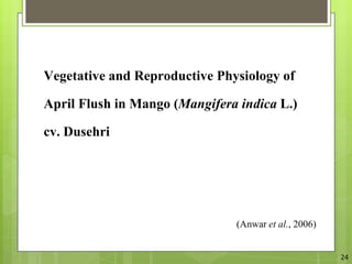 Mango Reproductive System The Relation Between Vegetative And Reproductive Physiology Of Mango | PPTX
