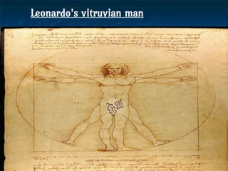 Leonardo's vitruvian man
 