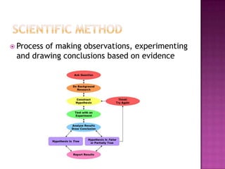 Scientific methodProcess of making observations, experimenting and drawing conclusions based on evidence