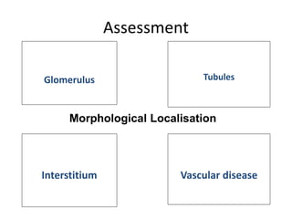 Glomerulus Tubules
Interstitium Vascular disease
Assessment
Morphological Localisation
 