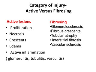 Category of Injury-
Active Versus Fibrosing
Active lesions
• Proliferation
• Necrosis
• Crescents
• Edema
• Active inflammation
( glomerulitis, tubulitis, vasculitis)
Fibrosing
•Glomerulosclerosis
•Fibrous crescents
•Tubular atrophy
• Interstitial fibrosis
•Vascular sclerosis
 