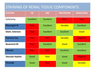 STAINING OF RENAL TISSUE COMPONENTS
FEATURE HE PAS TRICHROME JONES/GMS
Cellularity Excellent Excellent Poor Poor
Mesangial M Poor Excellent Variable Excellent
Glom. Sclerosis Poor Excellent Excellent Good
Immune Cox. Poor Poor Variable Negative
Basement M. Poor Excellent Good Excellent
Fibrosis Poor Poor Excellent Excellent
Vascular hyaline Good Poor Good Negative
Thrombi Good Poor Good Variable
 