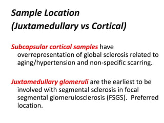 Sample Location
(Juxtamedullary vs Cortical)
Subcapsular cortical samples have
overrepresentation of global sclerosis related to
aging/hypertension and non-specific scarring.
Juxtamedullary glomeruli are the earliest to be
involved with segmental sclerosis in focal
segmental glomerulosclerosis (FSGS). Preferred
location.
 