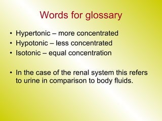 Words for glossary Hypertonic – more concentrated Hypotonic – less concentrated Isotonic – equal concentration In the case of the renal system this refers to urine in comparison to body fluids. 