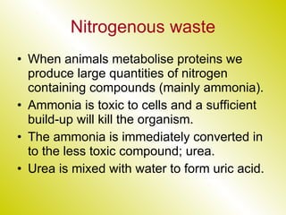 Nitrogenous waste When animals metabolise proteins we produce large quantities of nitrogen containing compounds (mainly ammonia). Ammonia is toxic to cells and a sufficient build-up will kill the organism. The ammonia is immediately converted in to the less toxic compound; urea. Urea is mixed with water to form uric acid. 