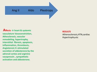 Ang II           Aldo      Pleotropy




Affects → heart & systemic                      RESULTS
vasculature Vasoconstriction,                   Atherosclerosis,HTN,cardiac
Athesclerosis, vascular                         Hypertrophy.etc
remodeling, hypertrophy,
interstitial fibrosis, apoptosis,
inflammation, thrombosis,
Angiotensin II–stimulated
secretion of aldosterone by the
adrenal cortex and arginine
vasopressin , sympathetic
activation and aldosterone.
 