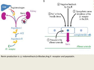 Renin production is ↓ indomethacin,b-Blocker,Ang II receptor and pepstatin.
 