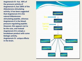 Angiotensin III –has 40% of
the pressure activity of
Angiotensin II, but 100% of the
Aldosterone-stimulating
activity. It has been suggested
that Angiotensin III is the
natural Aldosterone-
stimulating peptide, whereas
Angiotensin II is the blood-
pressure-regulating peptide.
However, this appears not to
be the case, and instead
Angiotensin III is simply a
breakdown product with some
biologic activity.
Angiotensin IV- unique effects
in the brain.
 