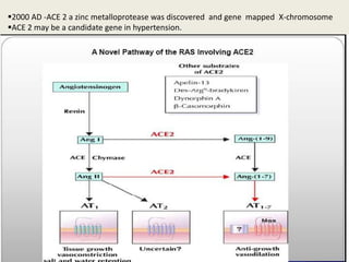 2000 AD -ACE 2 a zinc metalloprotease was discovered and gene mapped X-chromosome
ACE 2 may be a candidate gene in hypertension.
 