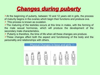 At the beginning of puberty, between 10 and 12 years old in girls, the process
of maturity begins in the ovaries which begin their functions and produce ova.
 This process is known as ovulation.
The maturing of the testicles occurs at this time in males, with the forming of
the male sexual hormones, which will produce the development of the
secondary male characteristics.
 Puberty is therefore, the time of life when all these changes are produce.
These changes affect both the aspect and functionong of the body and the
personality and relationships with others.
Changes during pubertyChanges during puberty
 