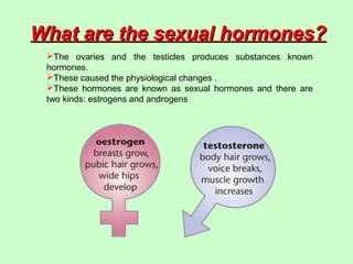 The ovaries and the testicles produces substances known
hormones.
These caused the physiological changes .
These hormones are known as sexual hormones and there are
two kinds: estrogens and androgens
What are the sexual hormones?What are the sexual hormones?
 