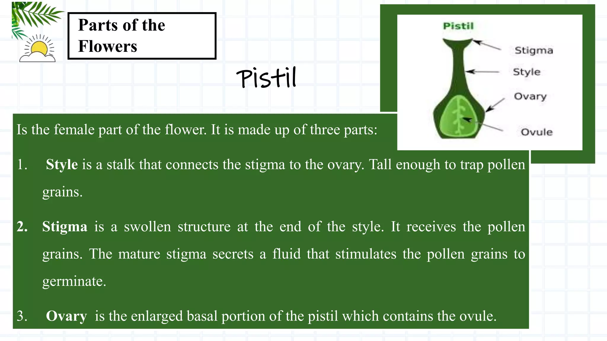 THE REPRODUCTIVE PARTS IN PLANTS.pptx