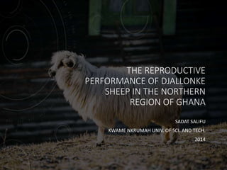 THE REPRODUCTIVE
PERFORMANCE OF DJALLONKE
SHEEP IN THE NORTHERN
REGION OF GHANA
SADAT SALIFU
KWAME NKRUMAH UNIV. OF SCI. AND TECH.
2014
 