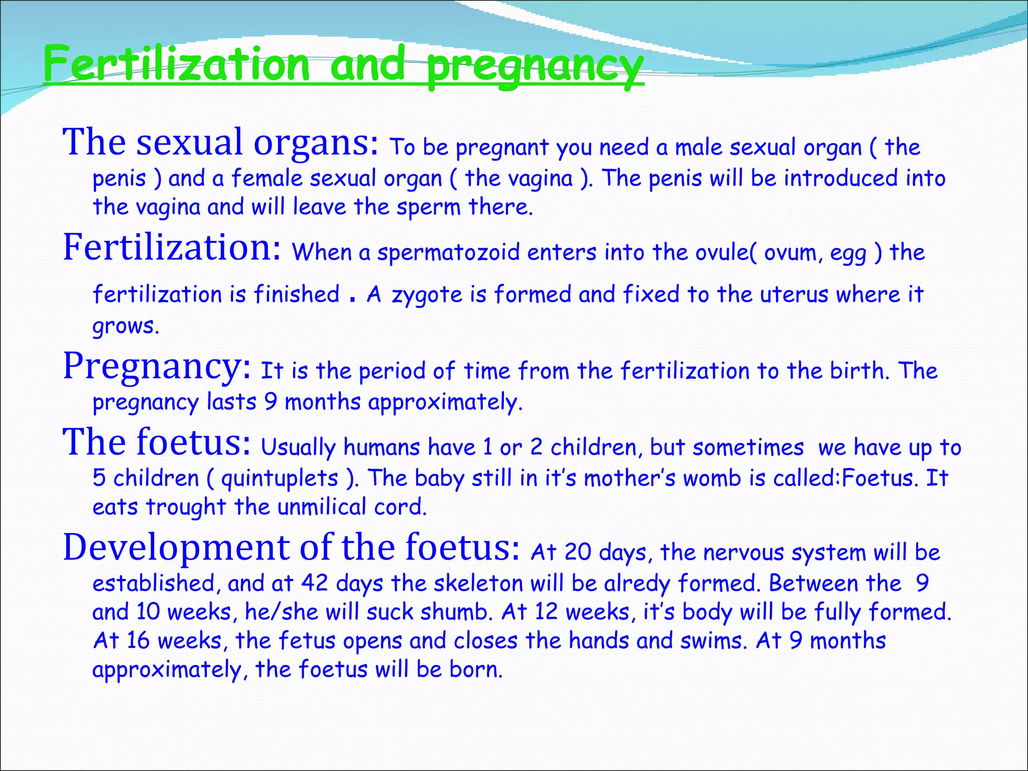 Fertilization and pregnancy The sexual organs:  To be pregnant you need a male sexual organ ( the penis ) and a female sexual organ ( the vagina ). The penis will be introduced into the vagina and will leave the sperm there.  Fertilization:  When a spermatozoid enters into the ovule( ovum, egg ) the fertilization is finished  .  A   zygote is formed and fixed to the uterus where it grows.  P regnancy:  It  is the period of time from the fertilization   to the birth. The pregnancy last s  9 months approximately. The f o etus:  Usually humans  have 1 or 2 children, but  sometimes  we  have up to 5 children ( quintuplets ). The baby still in it’s mother’s womb is called:Foetus. It eats trought the unmilical cord. Developmen t  of the foetus:  At 20 days, the nervous system will be established, and at 42 days the skeleton will be alredy form ed . Between the  9 and 10 weeks, he/she will suck shumb. At 12 weeks, it’s body will be fully formed. At 16 weeks, the fetus opens and closes the hands and swim s . At 9 months approximately, the foetus will be born. 
