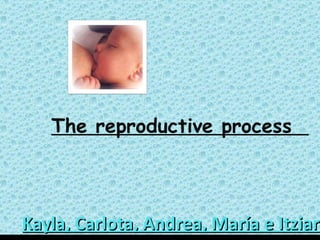Kayla, Carlota, Andrea, María e Itziar The reproductive  process  
