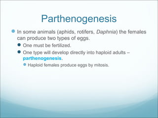 Parthenogenesis
In some animals (aphids, rotifers, Daphnia) the females
can produce two types of eggs.
One must be fertilized.
One type will develop directly into haploid adults –
parthenogenesis.
Haploid females produce eggs by mitosis.
 