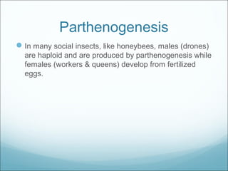 Parthenogenesis
In many social insects, like honeybees, males (drones)
are haploid and are produced by parthenogenesis while
females (workers & queens) develop from fertilized
eggs.
 