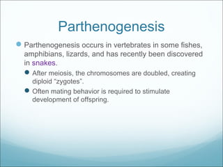 Parthenogenesis
Parthenogenesis occurs in vertebrates in some fishes,
amphibians, lizards, and has recently been discovered
in snakes.
After meiosis, the chromosomes are doubled, creating
diploid “zygotes”.
Often mating behavior is required to stimulate
development of offspring.
 