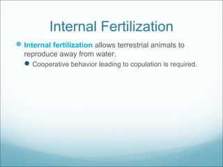 Internal Fertilization
Internal fertilization allows terrestrial animals to
reproduce away from water.
Cooperative behavior leading to copulation is required.
 