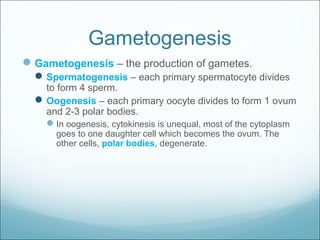 Gametogenesis
Gametogenesis – the production of gametes.
Spermatogenesis – each primary spermatocyte divides
to form 4 sperm.
Oogenesis – each primary oocyte divides to form 1 ovum
and 2-3 polar bodies.
In oogenesis, cytokinesis is unequal, most of the cytoplasm
goes to one daughter cell which becomes the ovum. The
other cells, polar bodies, degenerate.
 