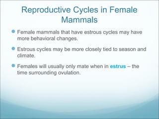 Reproductive Cycles in Female
Mammals
Female mammals that have estrous cycles may have
more behavioral changes.
Estrous cycles may be more closely tied to season and
climate.
Females will usually only mate when in estrus – the
time surrounding ovulation.
 