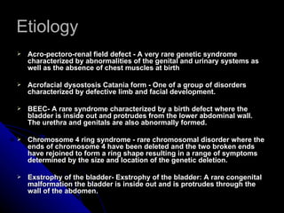 REPRODUCTIVE DISORDERS OF RICHARDS, FILAMER | PPT