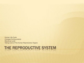 The Reproductive System ,[object Object]
