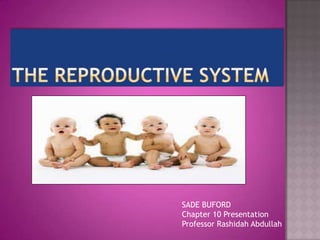 THE REPRODUCTIVE SYSTEM SADE BUFORD Chapter 10 Presentation Professor Rashidah Abdullah 
