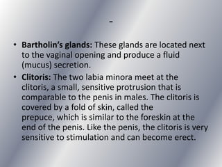 -
• Bartholin’s glands: These glands are located next
  to the vaginal opening and produce a fluid
  (mucus) secretion.
• Clitoris: The two labia minora meet at the
  clitoris, a small, sensitive protrusion that is
  comparable to the penis in males. The clitoris is
  covered by a fold of skin, called the
  prepuce, which is similar to the foreskin at the
  end of the penis. Like the penis, the clitoris is very
  sensitive to stimulation and can become erect.
 