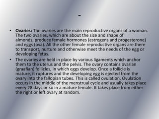 -
• Ovaries: The ovaries are the main reproductive organs of a woman.
  The two ovaries, which are about the size and shape of
  almonds, produce female hormones (estrogens and progesterone)
  and eggs (ova). All the other female reproductive organs are there
  to transport, nurture and otherwise meet the needs of the egg or
  developing fetus.
• The ovaries are held in place by various ligaments which anchor
  them to the uterus and the pelvis. The ovary contains ovarian
  (graafian) follicles, in which eggs develop. Once a follicle is
  mature, it ruptures and the developing egg is ejected from the
  ovary into the fallopian tubes. This is called ovulation. Ovulation
  occurs in the middle of the menstrual cycle and usually takes place
  every 28 days or so in a mature female. It takes place from either
  the right or left ovary at random.
 