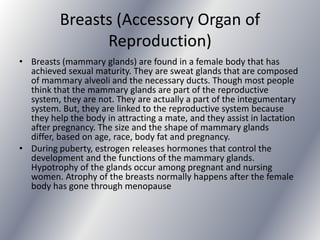Breasts (Accessory Organ of
                Reproduction)
• Breasts (mammary glands) are found in a female body that has
  achieved sexual maturity. They are sweat glands that are composed
  of mammary alveoli and the necessary ducts. Though most people
  think that the mammary glands are part of the reproductive
  system, they are not. They are actually a part of the integumentary
  system. But, they are linked to the reproductive system because
  they help the body in attracting a mate, and they assist in lactation
  after pregnancy. The size and the shape of mammary glands
  differ, based on age, race, body fat and pregnancy.
• During puberty, estrogen releases hormones that control the
  development and the functions of the mammary glands.
  Hypotrophy of the glands occur among pregnant and nursing
  women. Atrophy of the breasts normally happens after the female
  body has gone through menopause
 