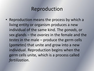 Reproduction
• Reproduction means the process by which a
  living entity or organism produces a new
  individual of the same kind. The gonads, or
  sex glands – the ovaries in the female and the
  testes in the male – produce the germ cells
  (gametes) that unite and grow into a new
  individual. Reproduction begins when the
  germ cells unite, which is a process called
  fertilization.
 