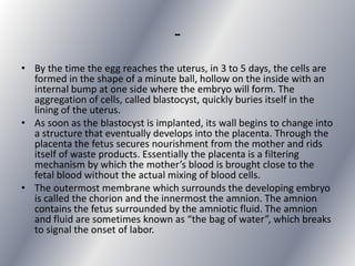 -
• By the time the egg reaches the uterus, in 3 to 5 days, the cells are
  formed in the shape of a minute ball, hollow on the inside with an
  internal bump at one side where the embryo will form. The
  aggregation of cells, called blastocyst, quickly buries itself in the
  lining of the uterus.
• As soon as the blastocyst is implanted, its wall begins to change into
  a structure that eventually develops into the placenta. Through the
  placenta the fetus secures nourishment from the mother and rids
  itself of waste products. Essentially the placenta is a filtering
  mechanism by which the mother’s blood is brought close to the
  fetal blood without the actual mixing of blood cells.
• The outermost membrane which surrounds the developing embryo
  is called the chorion and the innermost the amnion. The amnion
  contains the fetus surrounded by the amniotic fluid. The amnion
  and fluid are sometimes known as “the bag of water”, which breaks
  to signal the onset of labor.
 