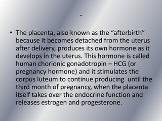 -
• The placenta, also known as the “afterbirth”
  because it becomes detached from the uterus
  after delivery, produces its own hormone as it
  develops in the uterus. This hormone is called
  human chorionic gonadotropin – HCG (or
  pregnancy hormone) and it stimulates the
  corpus luteum to continue producing until the
  third month of pregnancy, when the placenta
  itself takes over the endocrine function and
  releases estrogen and progesterone.
 
