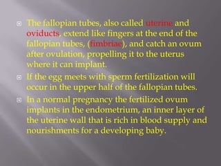    The fallopian tubes, also called uterine and
    oviducts, extend like fingers at the end of the
    fallopian tubes, (fimbriae), and catch an ovum
    after ovulation, propelling it to the uterus
    where it can implant.
   If the egg meets with sperm fertilization will
    occur in the upper half of the fallopian tubes.
   In a normal pregnancy the fertilized ovum
    implants in the endometrium, an inner layer of
    the uterine wall that is rich in blood supply and
    nourishments for a developing baby.
 
